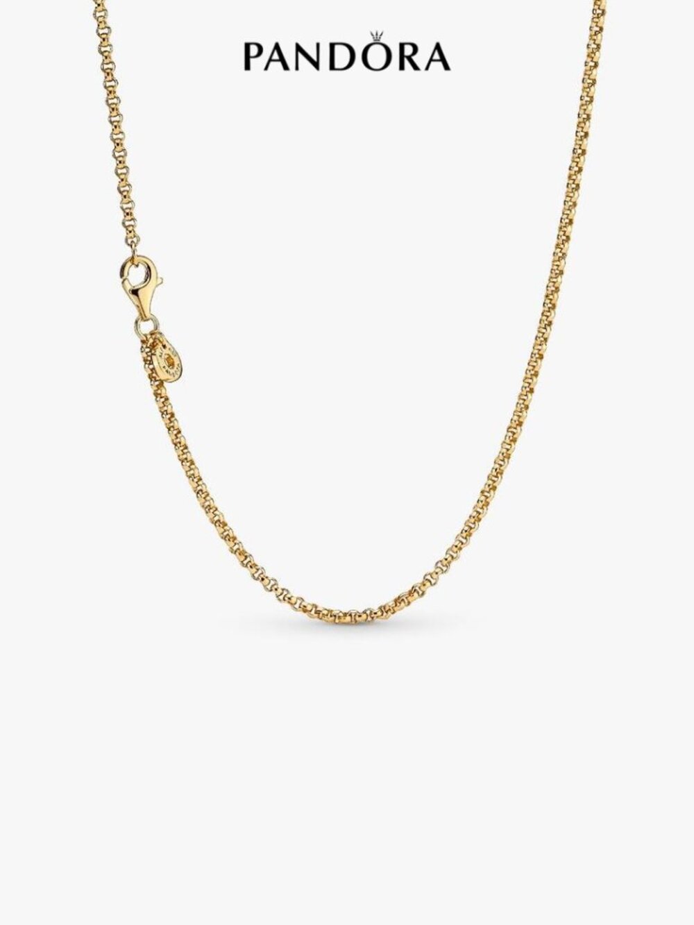 Pandora Rolo Chain Necklace